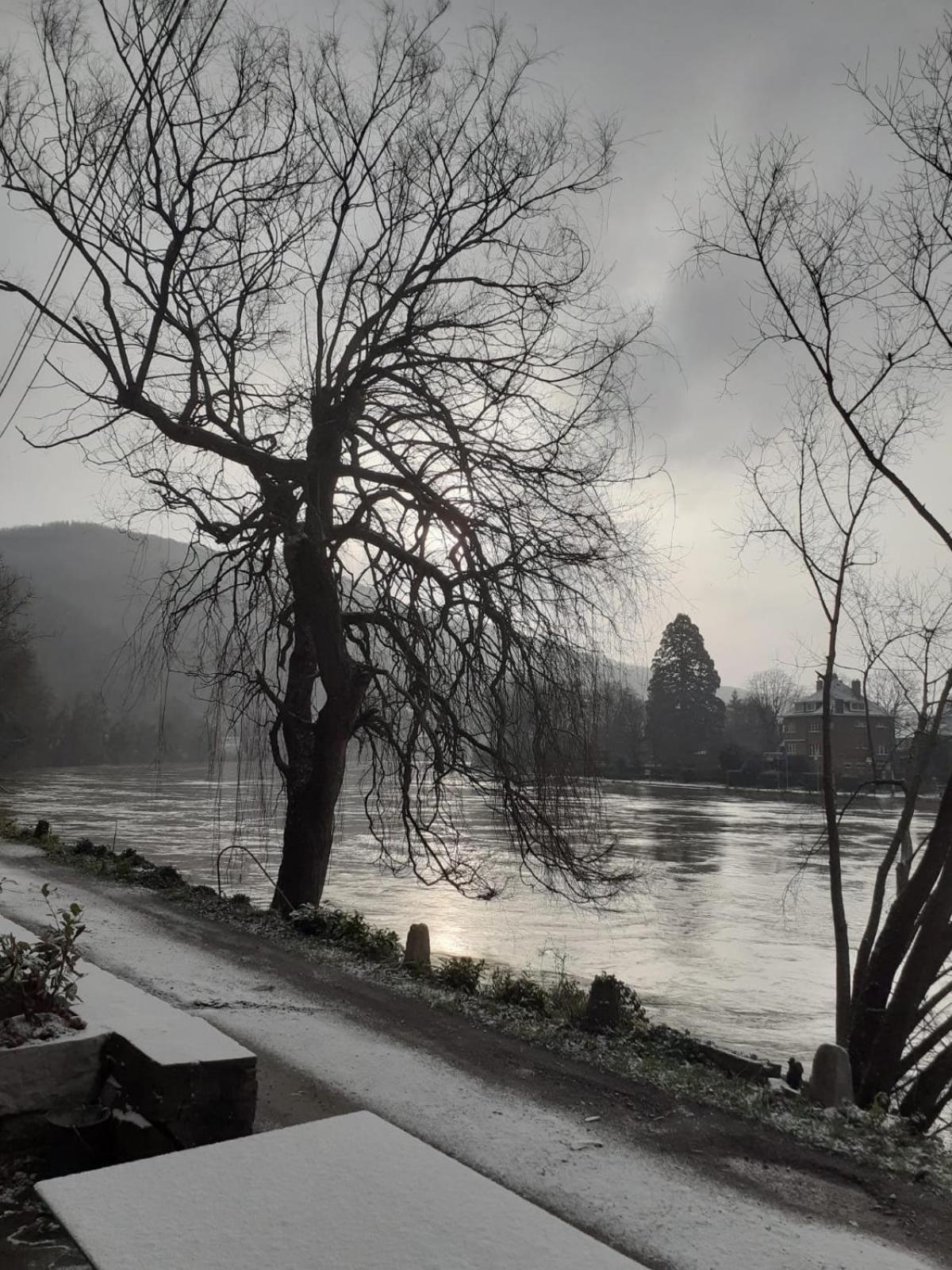 Willa Pieds Dans L'Eau Private Wellness Bordure De Meuse Lustin Zewnętrze zdjęcie